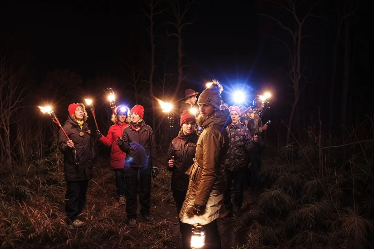 Seltskond tõrvikutega öisel matkal metsas