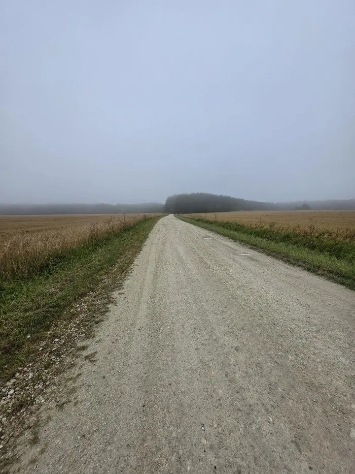 Udune põllutee varahommikul