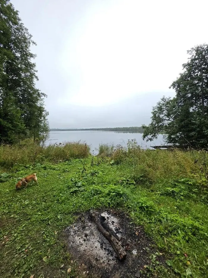 Järvekallas ja vana lõkkease