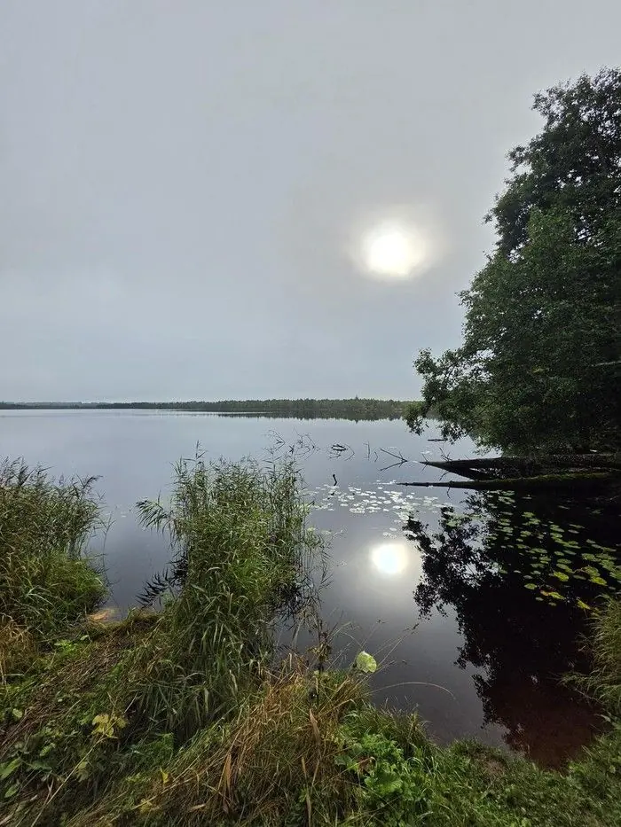 Hommikupäike udu taga Udriku Suurjärve kohal