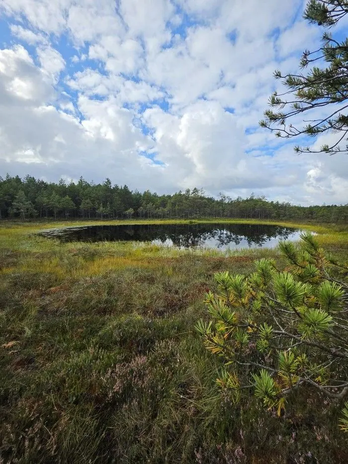 Ümar laugas keset kõrgsood