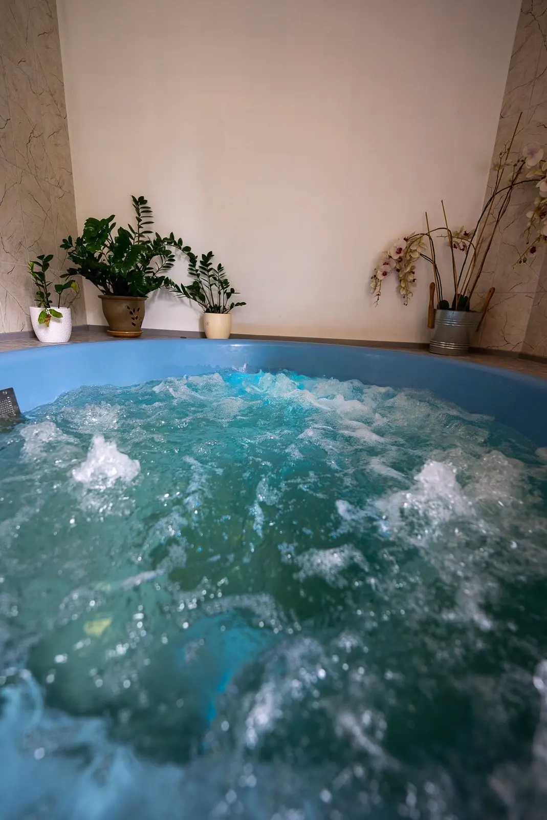 Hot tub with house plants against a light wall