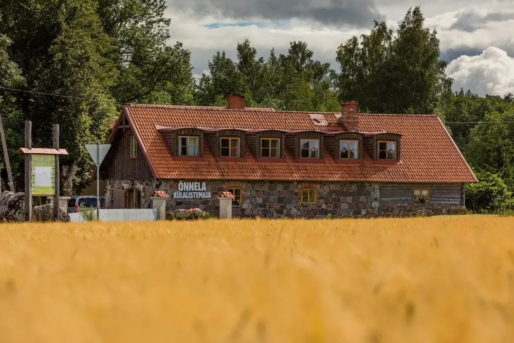 Õnnela guesthouse in summer, seen across a grain field